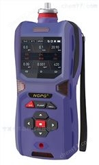 NGP60-H2S便携多功能硫化氢检测仪